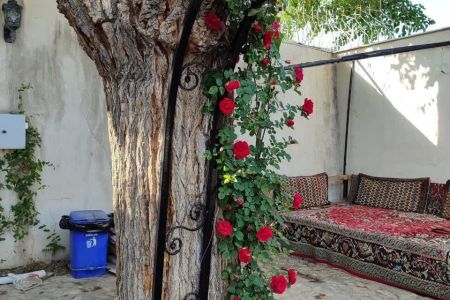 اجاره ویلا استخردار در مشهد - توس