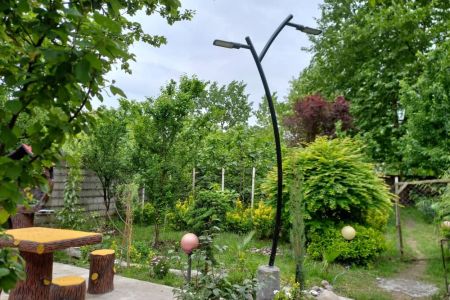 اجاره خانه حیاط دار در رشت - بیجاربنه