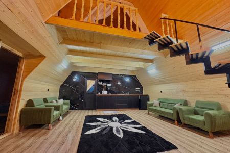 جاره کلبه سوئیسی در بابلکنار - گونه کلا