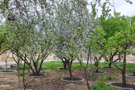 ویلا استخردار در مشهد - ناظرآباد