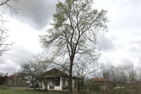 اجاره خانه ویلایی در صومعه سرا - چمن