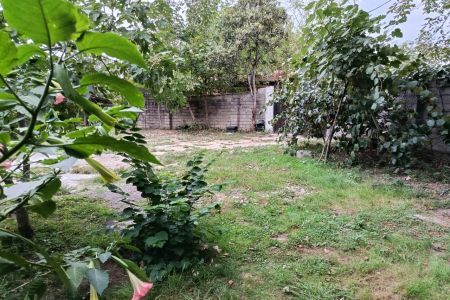 اجاره کلبه سوئیسی در ماسال - وشمه سرا