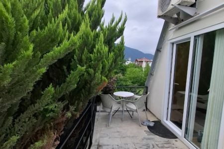 اجاره کلبه سوئیسی در نمک آبرود - نورسر