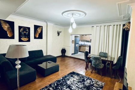 آپارتمان مبله در جنت آباد - طبقه همکف