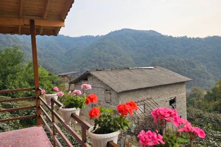 اجاره خانه مبله در رامسر - طالش سرا - طبقه ۲