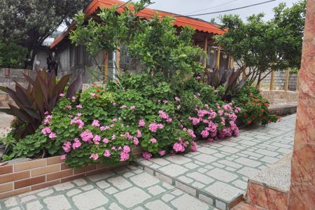 سوئیت حیاط دار در کلشتر رودبار