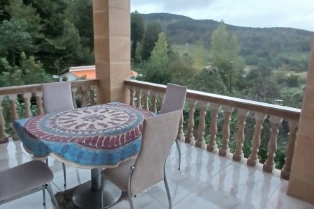 Renting a villa in Lafur - Drzykla