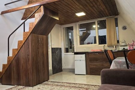 اجاره کلبه سوئیسی در لاهیجان - زمیدان