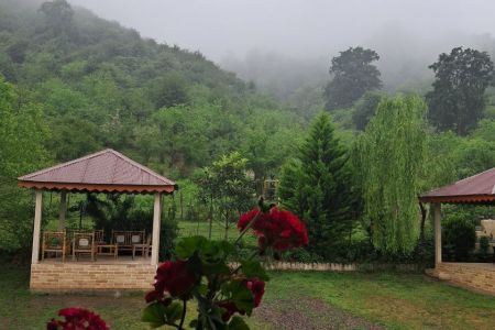 Renting a wooden villa facing the forest in Masal - Chaleh Sara