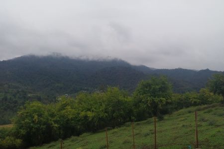 اجاره کلبه سوئیسی جنگلی در شاندرمن - نیلاش