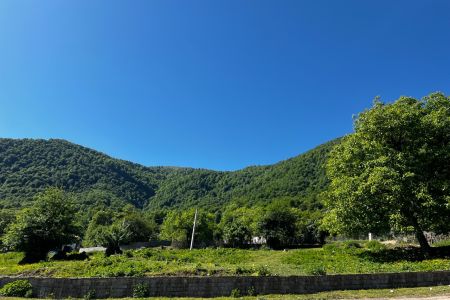 اجاره کلبه سوئیسی در کجور - کهنه ده