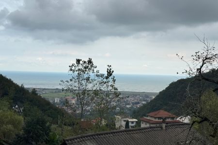 اجاره کلبه سوئیسی در رامسر - سیاسان