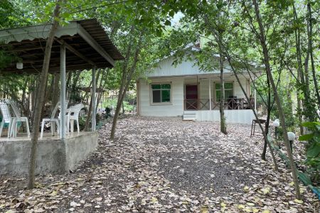 رزرو خانه ویلایی در شاندرمن - امام زاده شفیع