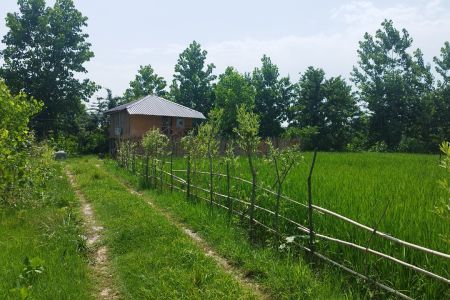 اجاره کلبه چوبی نزدیک سیاهکل - اسلامده بالا