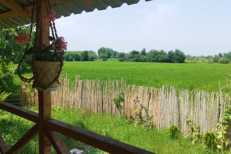 اجاره کلبه چوبی نزدیک سیاهکل - اسلامده بالا