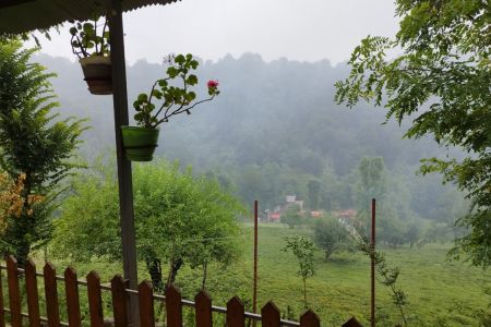 رزرو بوم گردی در سیاهکل - ملک رود - اتاق هلو