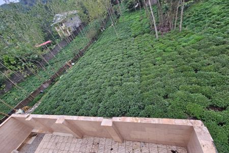 خانه با منظره کوه و باغ چای در لاهیجان - علیسرود