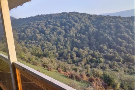 کلبه سوئیسی در ارتفاعات زیرآب - انیشتک