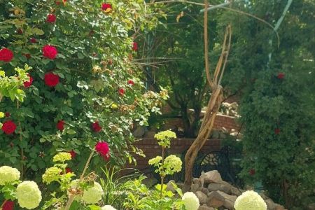 شقه مفروشه فی طهران نیافاران - لا تحجز للاختبار