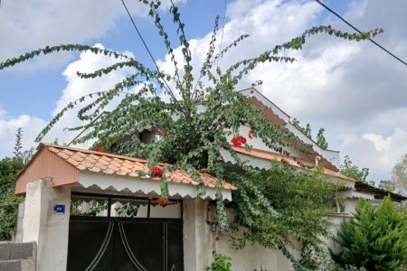 اجاره خانه ویلایی در رشت - گرفم