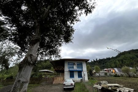 اجاره خانه روستایی جنگلی در تالش - هشتپر
