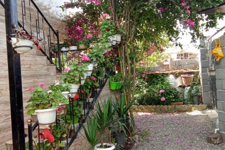 اجاره سوئیت مبله در کلاچای - نعمت سرا