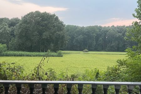 اجاره کلبه سوئیسی در جاده کیاشهر - پرکاپشت