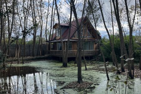 کلبه چوبی کنار برکه در لنگرود - کومله