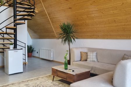 اجاره کلبه سوئیسی در نمک آبرود - نورسر