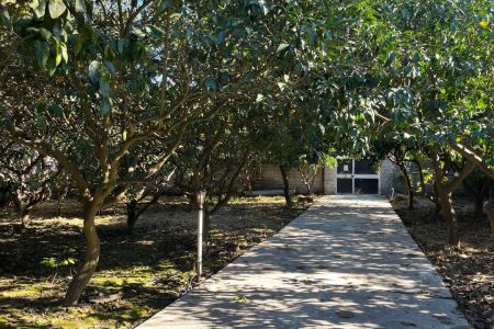 اجاره ویلا استخردار در سرخرود