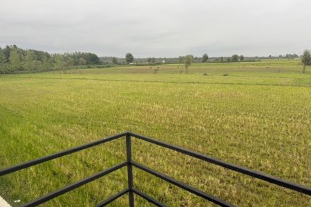 کلبه سوئیسی نزدیک جنگل در محمودآباد