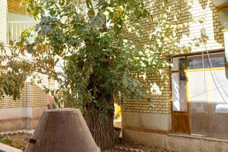 اجاره خانه سنتی در قمصر - همکف