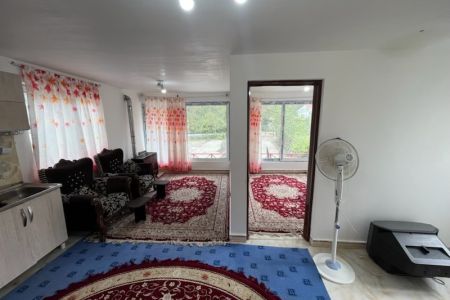 سوئیت جنگلی در سیاهمزگی شفت