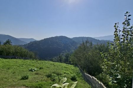 اجاره سوئیت مبله در لفور - لودشت