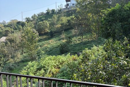 اجاره ویلا در اربه کله رامسر