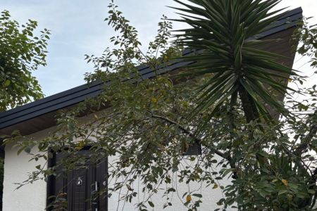 اجاره سوئیت در اربه کله - سرلیماک