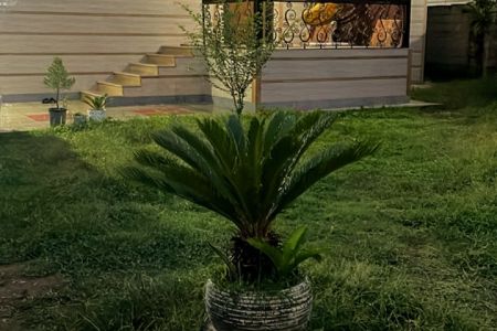 خانه ویلایی در روستای سیاه مرد شاندرمن