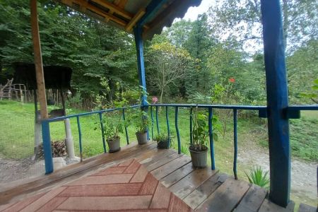 استئجار كوخ غابة في سراوان - موس