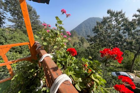 اجاره کلبه چوبی جنگلی در رامسر - کلک