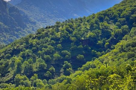 استئجار جناح شرفة في پاوه - داريان - الطابق الأرضي