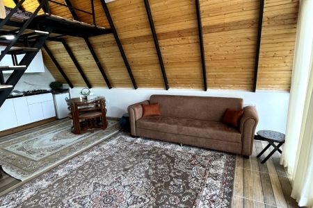 اجاره کلبه سوئیسی در لاهیجان - گردکرف