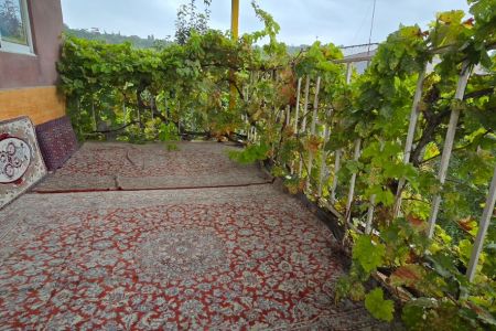 اجاره ویلا در قائم شهر - وسطی کلا