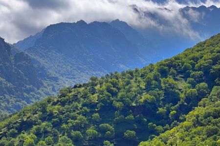 اجاره سوئیت بالکن دار در پاوه - داریان - همکف