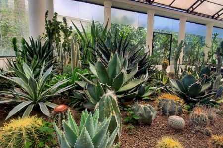 ویلا با استخر و گلخانه در کوهسار - ۵ خوابه