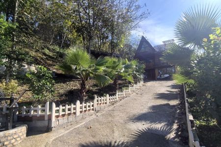 کلبه چوبی در ارتفاعات قائمشهر - قادیکلای بزرگ