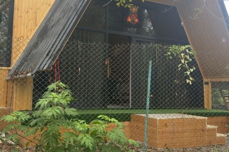 اجاره کلبه سوئیسی در ماسال - وشمه سرا