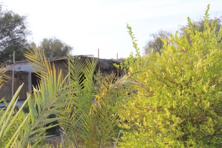 اجاره خانه ویلایی در قشم - طبل