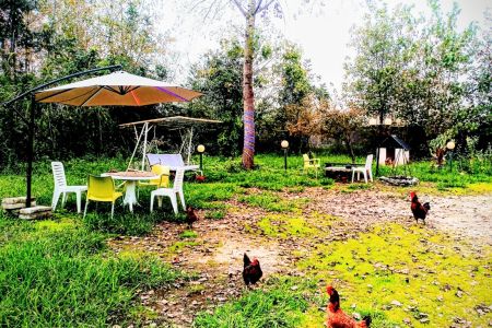 اجاره سوئیت حیاط دار رشت - گوراب