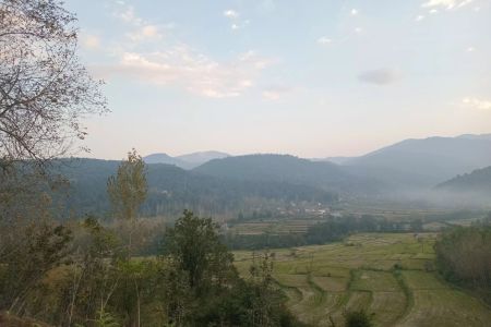 اجاره خانه ویلایی در بابل - فک