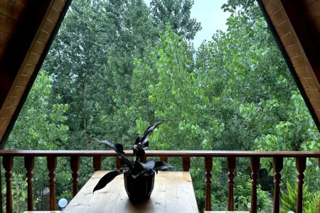 کلبه سوئیسی با وان جکوزی در بابلکنار - هلی خال